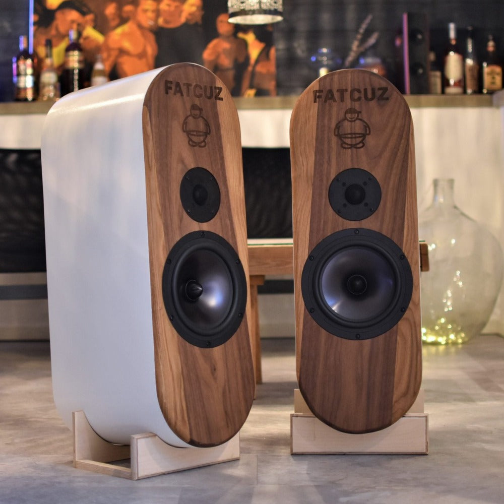 Kerf Cutted Speakers